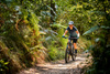 Rower MTB elektryczny damski Giant Liv Tempt E+ (2026) Lunar Eclipse