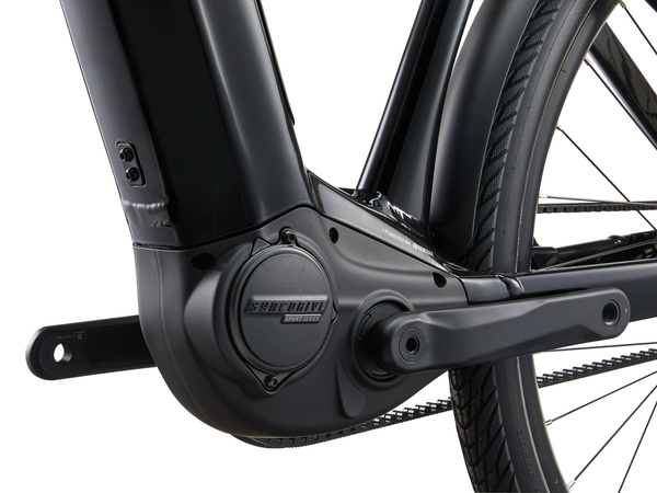 Rower trekkingowy elektryczny Giant AnyTour E+ 1 (2024) Black Diamond