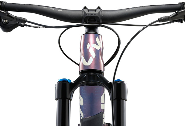 Rower MTB damski Giant Liv Intrigue X 2 (2024) Desert Dawn