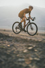Koło tylne karbonowe Giant CXR 1 Disc (Shimano HG)
