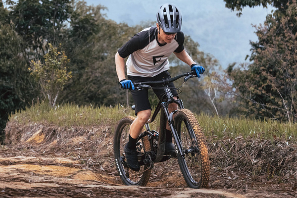 Koszulka z krótkim rękawem Giant Transfer Shoreline