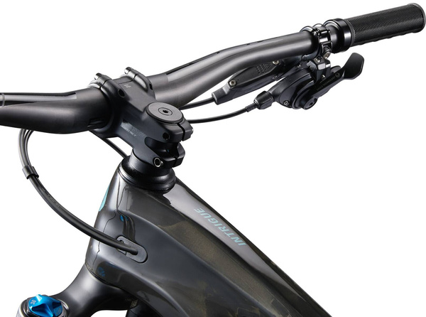 Rower MTB damski Giant Liv Intrigue LT Advanced Pro 1 (2023) | karbonowy | Raw Carbon