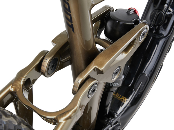 Rower MTB Giant Reign 2 (2024) Black Pyrite Brown