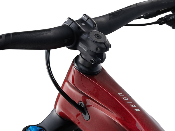 Rower MTB Giant Reign Advanced 2 (2024) | karbonowy | Sangria Carbon