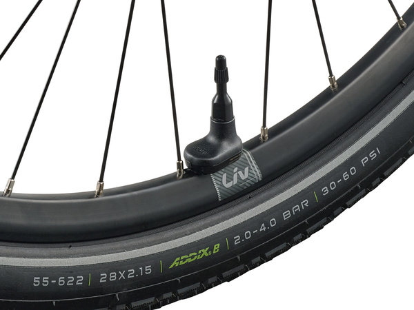 Rower miejski elektryczny damski Giant Liv Allure E+ 0 (2026) Storm Cloud 