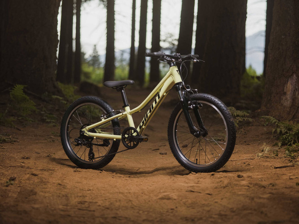 Rower MTB dziecięcy Giant Talon 20 (2024) Muscat Blanc