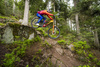 Rama MTB Giant Glory Advanced (2023) | karbonowa | Legends Edition
