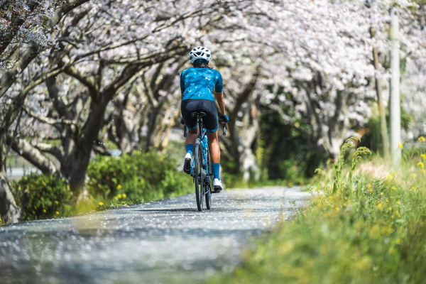 Spodenki damskie z szelkami Giant Liv Shift