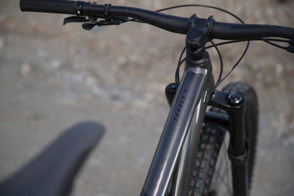 Rower MTB Giant Trance X 29 2 (2022) Metallic Black