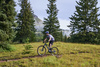 Rower MTB Giant Talon 0 (2025) Ultra Navy