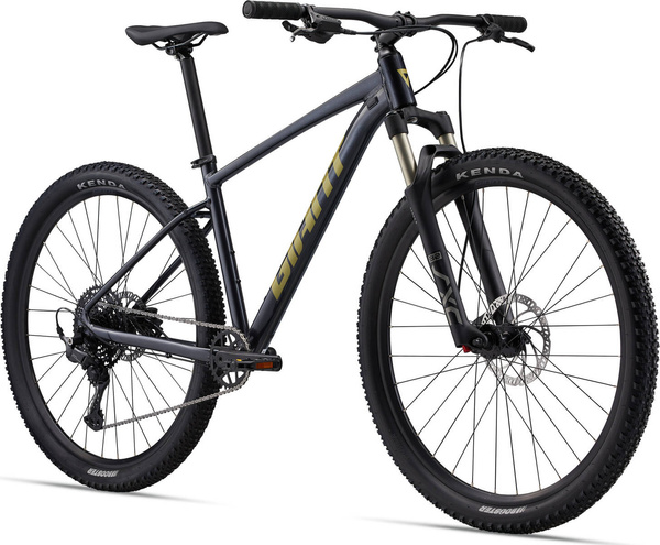 Rower MTB Giant Talon 1 (2024) Cold Iron