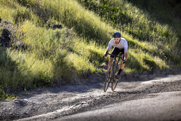 Rower szosowy elektryczny Giant Defy Advanced E+ Elite 1 (2025) | karbonowy | Raw Carbon