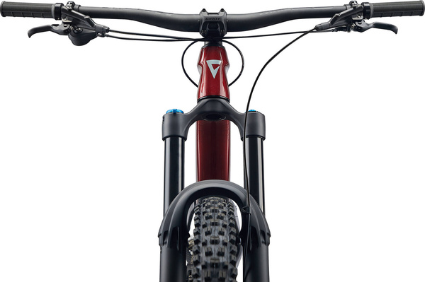 Rower MTB Giant Reign Advanced 2 (2024) | karbonowy | Sangria Carbon