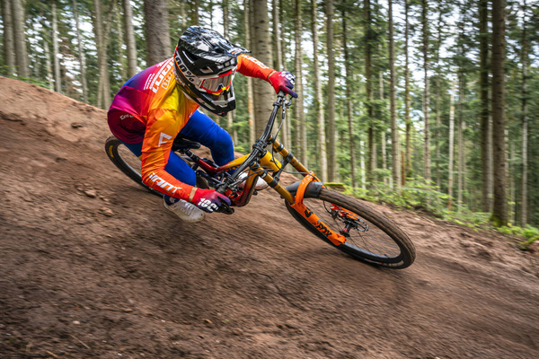 Rama MTB Giant Glory Advanced (2023) | karbonowa | Legends Edition