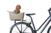 Kosz tylny na bagażnik BASIL BUDDY DOG BICYCLE BASKET REAR MIK, MIK system (ready to go), Adapter Plate 2.0 (blokada), plastik, poduszka, biscotti brown (NEW)