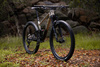 Rower MTB damski Giant Liv Pique Advanced 29 2 (2024) | karbonowy | Golden Haze