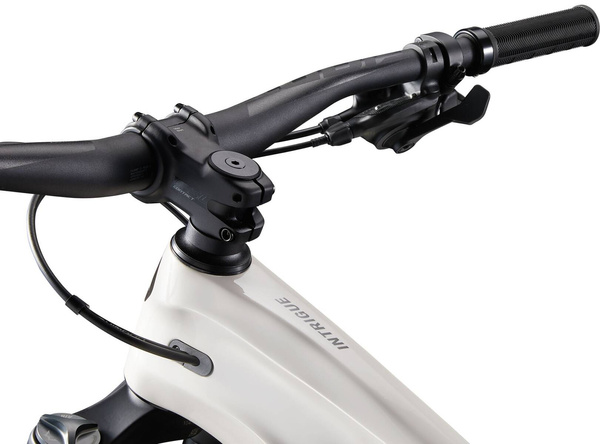 Rower MTB damski Giant Liv Intrigue LT Advanced Pro 2 (2023) | karbonowy | Mushroom