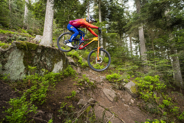 Rama MTB Giant Glory Advanced (2023) | karbonowa | Legends Edition