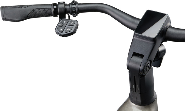 Rower trekkingowy elektryczny Giant AnyTour E+ 0 (2024) Space Grey