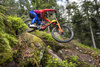 Rama MTB Giant Glory Advanced (2023) | karbonowa | Legends Edition