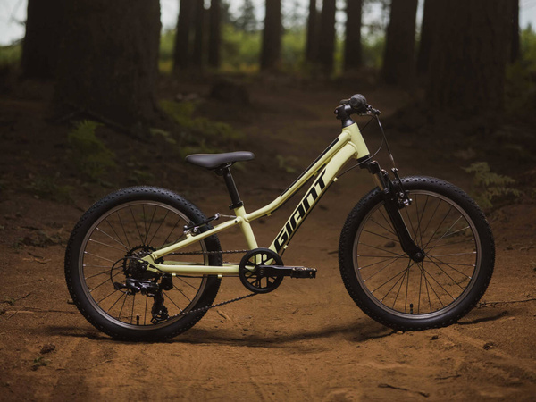 Rower MTB dziecięcy Giant Talon 20 (2024) Muscat Blanc