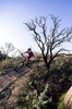 Rower MTB damski Giant Liv Pique Advanced 29 1 (2024) | karbonowy | Raw Carbon