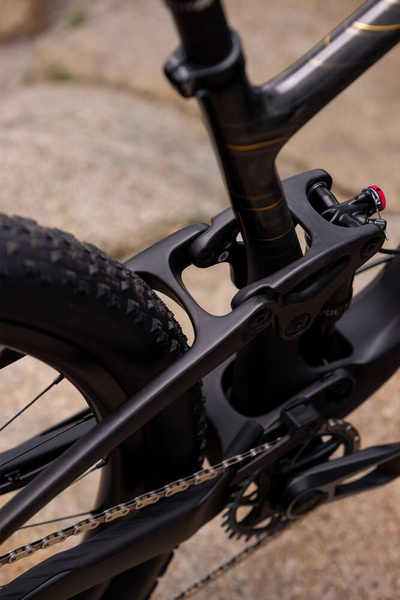 Rower MTB damski Giant Liv Pique Advanced 29 1 (2024) | karbonowy | Raw Carbon