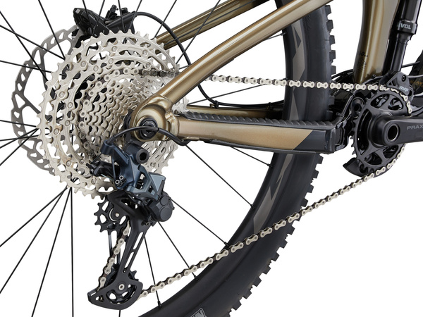 Rower MTB Giant Reign 2 (2024) Black Pyrite Brown