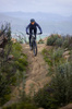 Rower MTB damski Giant Liv Pique Advanced 29 2 (2024) | karbonowy | Golden Haze