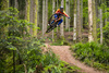 Rama MTB Giant Glory Advanced (2023) | karbonowa | Legends Edition