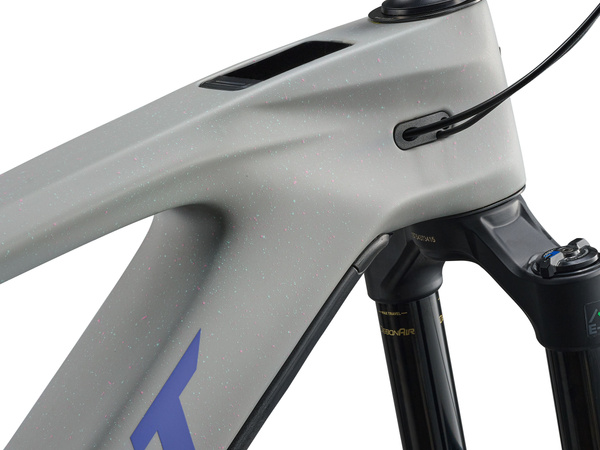 Rower MTB elektryczny Giant Reign Advanced E+ 2 (2026) | karbonowy | Moon Dust