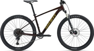 Rower MTB Giant Talon 1 (2024) Cordovan