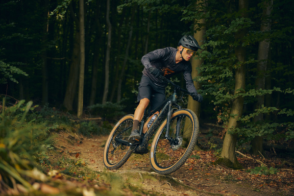 Rower MTB elektryczny Giant Talon E+ (2026) Asphalt Green