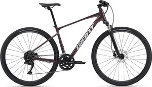 Rower crossowy Giant Roam 2 Disc (2024) Charcoal Plum