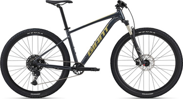 Rower MTB Giant Talon 1 (2024) Cold Iron