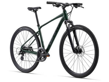 Rower crossowy Giant Roam 3 (2024) Hunter Green